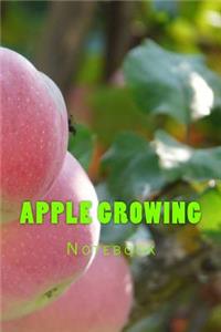 Apple Growing