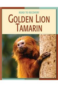 Golden Lion Tamarin