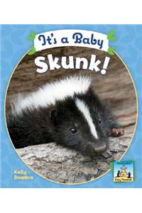 It's a Baby Skunk!