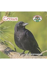 Crows