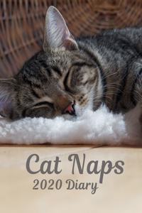 Cat Naps 2020 Diary