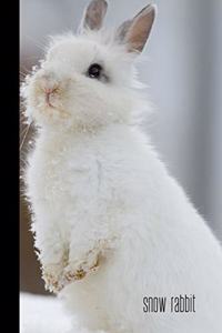 Snow Rabbit
