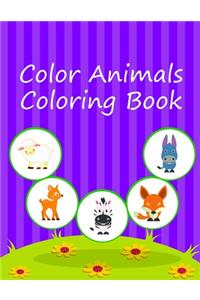 Color Animals Coloring Book