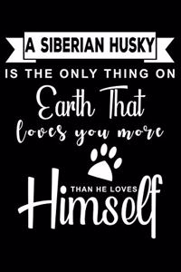 A Siberian Husky is the only thing on earth that loves you more