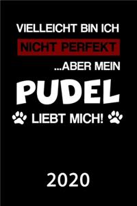 Pudel 2020