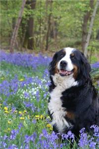 Bernese Mountain Dog Sitting in the Wildflowers Journal