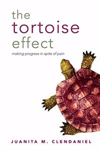 Tortoise Effect