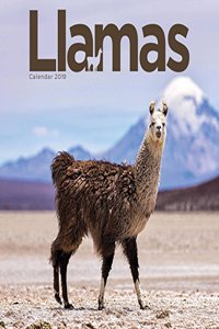 LLAMAS W 2019