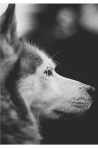 2019 Appointment Calendar