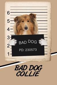 Bad Dog Collie