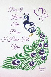Jeremiah 29
