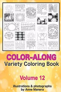 Color Along Variety Coloring Book Volume 12