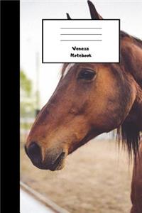 Veneza Notebook