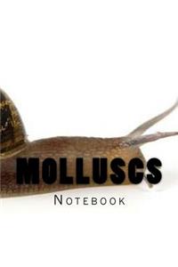 Molluscs