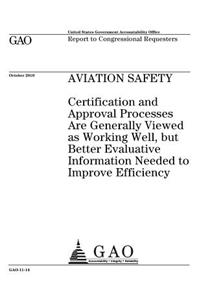 Aviation Safety