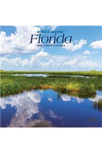 Florida Wild & Scenic 2020 Mini 7x7