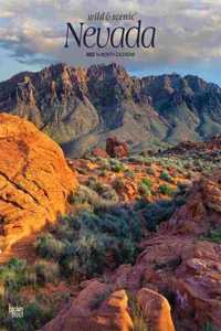 Nevada Wild & Scenic 2023 Square