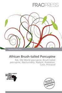 African Brush-Tailed Porcupine