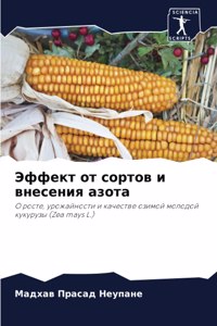 Эффект от сортов и внесения азота