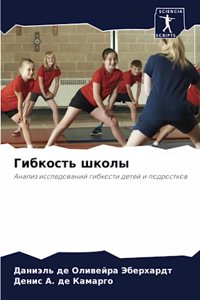 Гибкость школы
