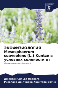 ЭКОФИЗИОЛОГИЯ Mesosphaerum suaveolens (L.) Kuntze в условиях солености