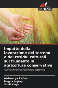 Impatto della lavorazione del terreno e dei residui colturali sul frumento in agricoltura conservativa