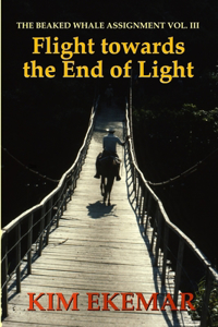 Flight towards the End of Light