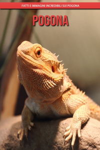 Pogona