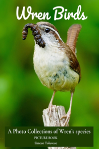 Wren Birds A Photo Collections of Wren's Species Picture Book