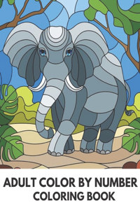 Adult Color By Number Coloring Book
