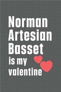 Norman Artesian Basset is my valentine