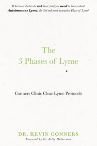 3 Phases of Lyme