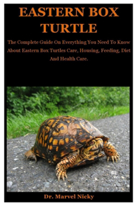 Eastern Box Turtle