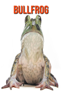 Bullfrog