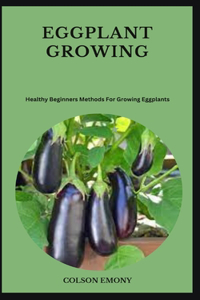 Eggplant Growing