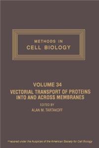 Vectorial Transport of Proteins Into and Across Membranes