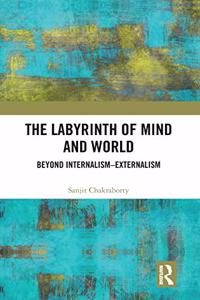 Labyrinth of Mind and World