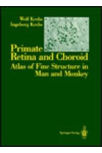 Primate Retina and Choroid