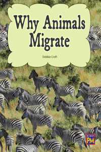Why Animals Migrate
