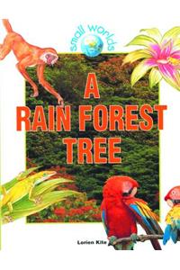 A Rain Forest Tree