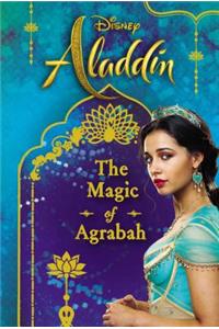 Disney Aladdin: The Magic of Agrabah