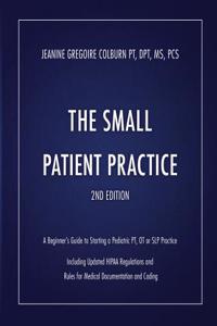 Small Patient Practice: A Beginner's Guide to Starting a Pediatric Pt, OT or SLP Practice