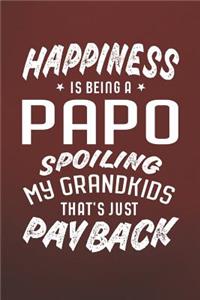 Happiness Is Being A Papo Spoiling My Grandkids That's Just Payback