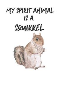 My Spirit Animal Is A Squirrel
