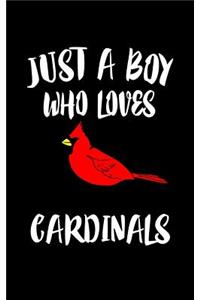 Just A Boy Who Loves Cardinals
