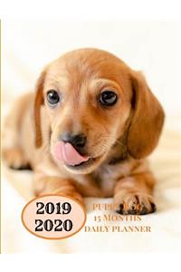 2019 2020 15 Months Puppy Dog Daily Planner