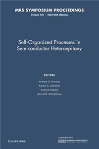 Self-Organized Processes in Semiconductor Heteroepitaxy: Volume 794