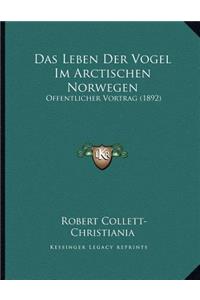 Das Leben Der Vogel Im Arctischen Norwegen