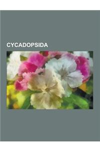 Cycadopsida: Dioon, Stangeria Eriopus, Zamiaceae, Stangeriaceae, Macrozamia, Cycas Panzhihuaensis, Dioon Edule, Encephalartos Fride