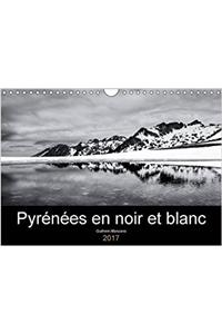 Pyrenees En Noir Et Blanc 2017
